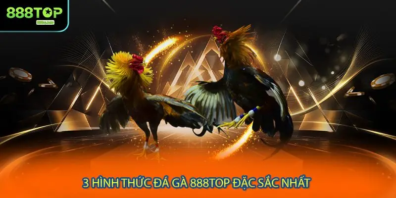 3 hình thức đá gà 888TOP đặc sắc nhất