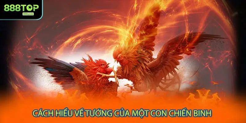Cách hiểu về tướng của một con chiến binh
