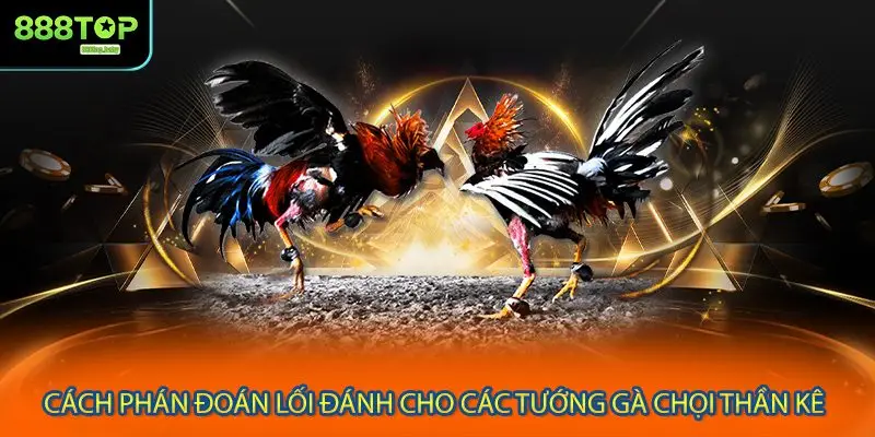 Cách phán đoán lối đánh cho các tướng gà chọi thần kê