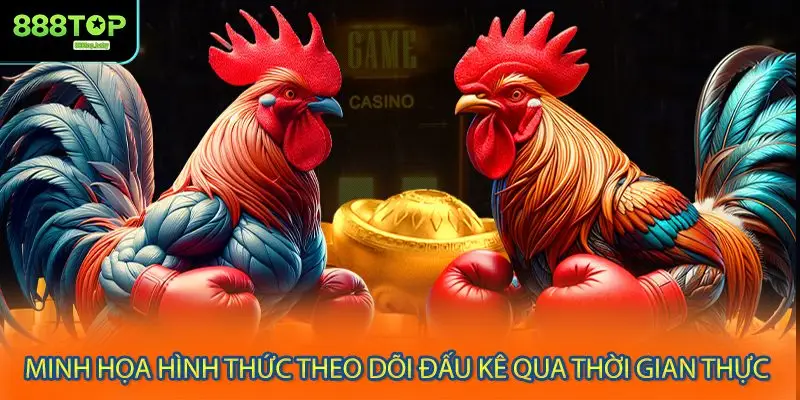 Minh họa hình thức theo dõi đấu kê qua thời gian thực